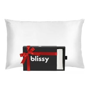 Blissy 100% Mulberry Silk King Pillow Case
